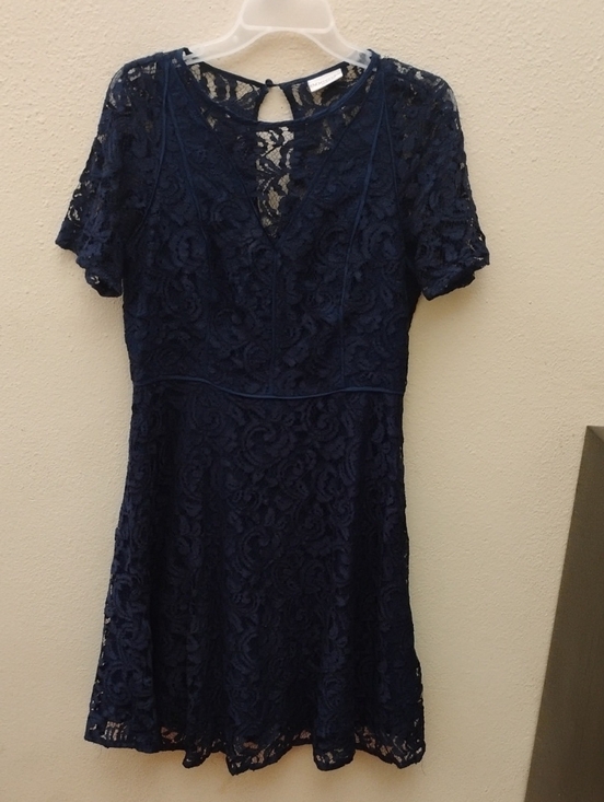eva mendes for New York & Company Dresses & Skirts - eva mendes for New York & Company Navy Lace Fit-and-Flare Dress